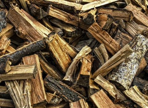 A stack of firewood