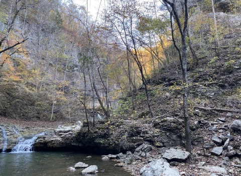 "Gentle stream flowing from the headwaters of a river in autumn forest. Rocks and fallen foliage on the shore