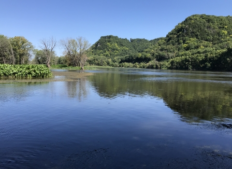 Summer photo of the Mississippi River with Bluffs covered in green trees