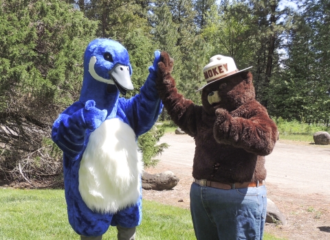 Blue Goose, "Puddles" and "Smokey the Bear" give each other a high five