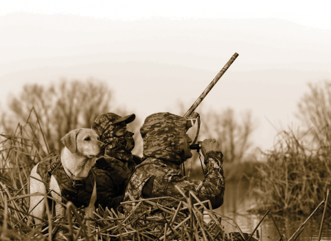 Two hunters in camo clothing hide with a hunting dog in the tules beside a marsh. One hunter is using duck call while the other holds a shotgun.