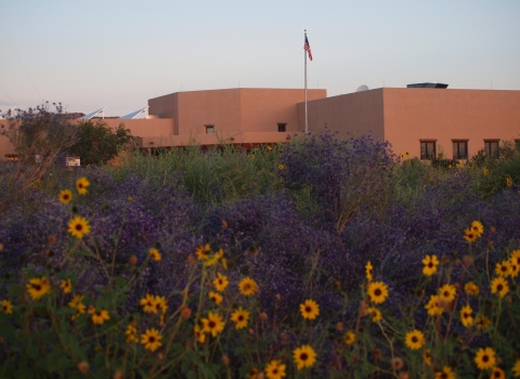 Sevilleta NWR Visitor Center with purple sage in bloom