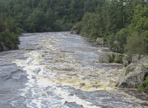 A river churns along the rocky rapids. Evergreen trees frame either side of the water.