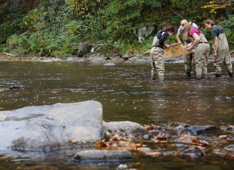 4 people in stream look in a seine they hold above water