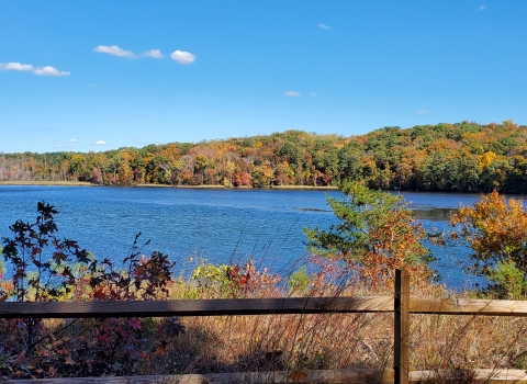 View across a waterbody lined with trees in fall foliage. A wooden fence sits in the foreground