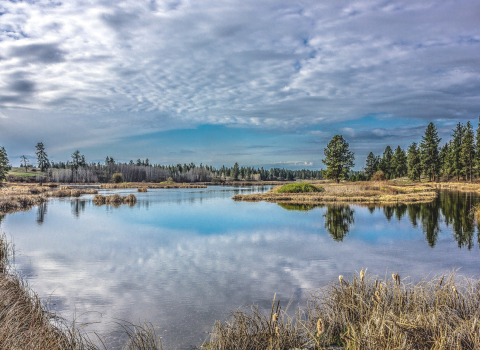 A cloud filled sky is reflected on a still pond. Conifer trees dot the shoreline