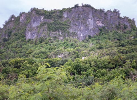 A mountain at the Guam National Wildlife Refuge. It sticks out from the treeline. 