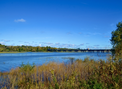A blue lake on a clear, sunny day surrounded by yellowing vegetation.