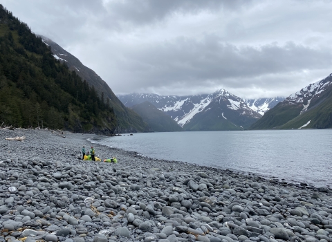 People stand on clean rocky beach with pile of trash bags full of debris they removed.