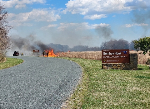 USFWS Prescribed fire specialist conduct a burn on Bombay Hook NWR