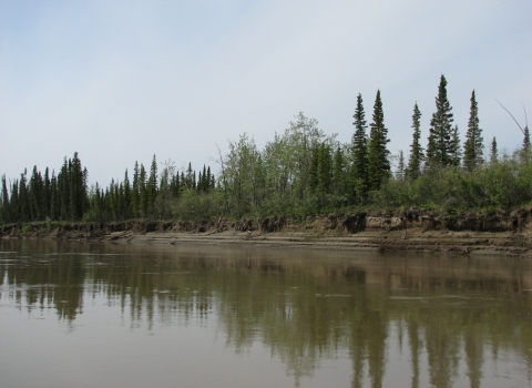 River with the river bank in the background with trees and brush. The riverbank, trees and brush are reflected in the water.