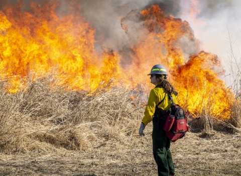 firefighter viewing blaze of fire.