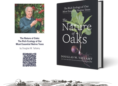 Spring Wild Read Poster