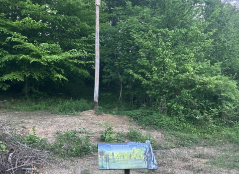 A photo of an interpretive sign in front of an artificial bat roost. The artificial bat roost is composed of a telephone pole with fake bark wrapped around the top quarter.