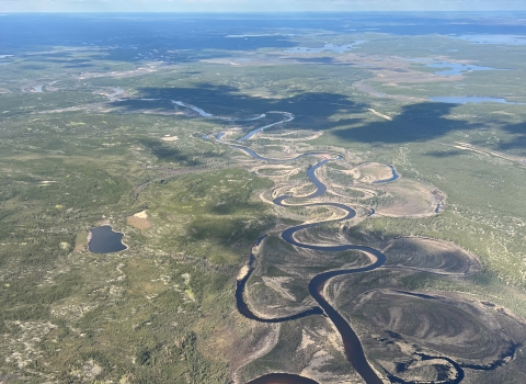 aerial view of rivers and forests