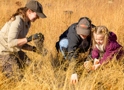 FWS staff and volunteers prep a hole in order to plant a tree for a restoration project