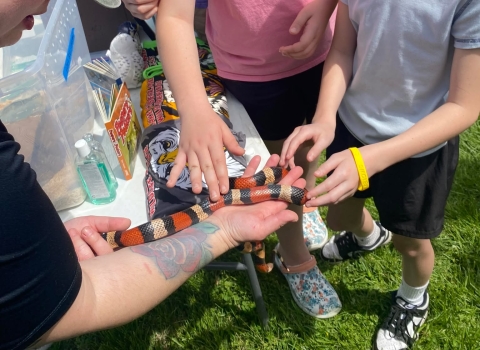 Kids petting snake