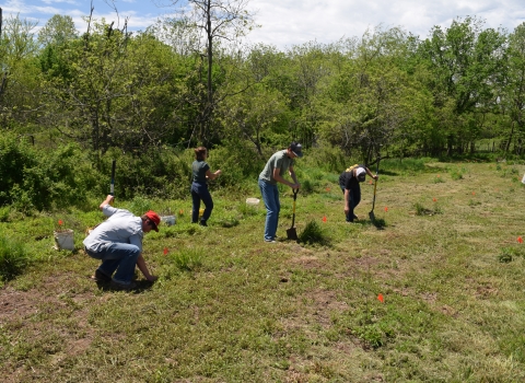 Students planting trees