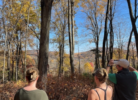 three people with their backs to the camera view mountains through trees with fall colors