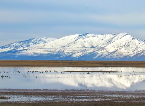 Vast flooded mudflat with a wide snow-capped mountain range visible in the distance.