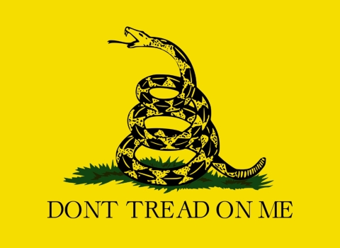 Gadsden Flag saying "dont tread on me"