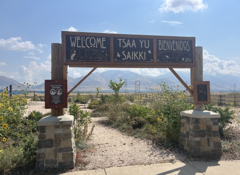 Outdoor Nature Explore Classroom Arch