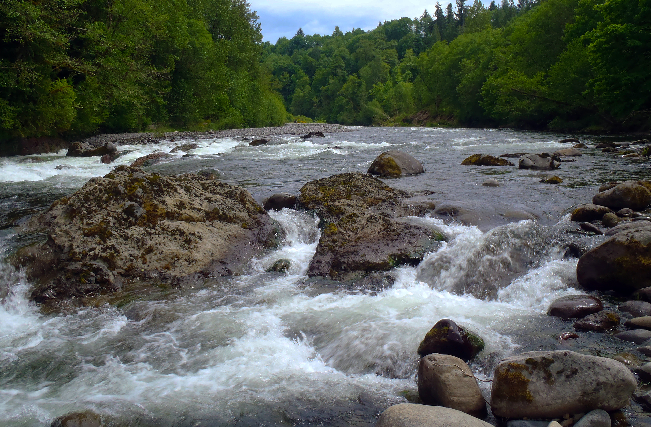 Sandy Rivers Actor Sandy River