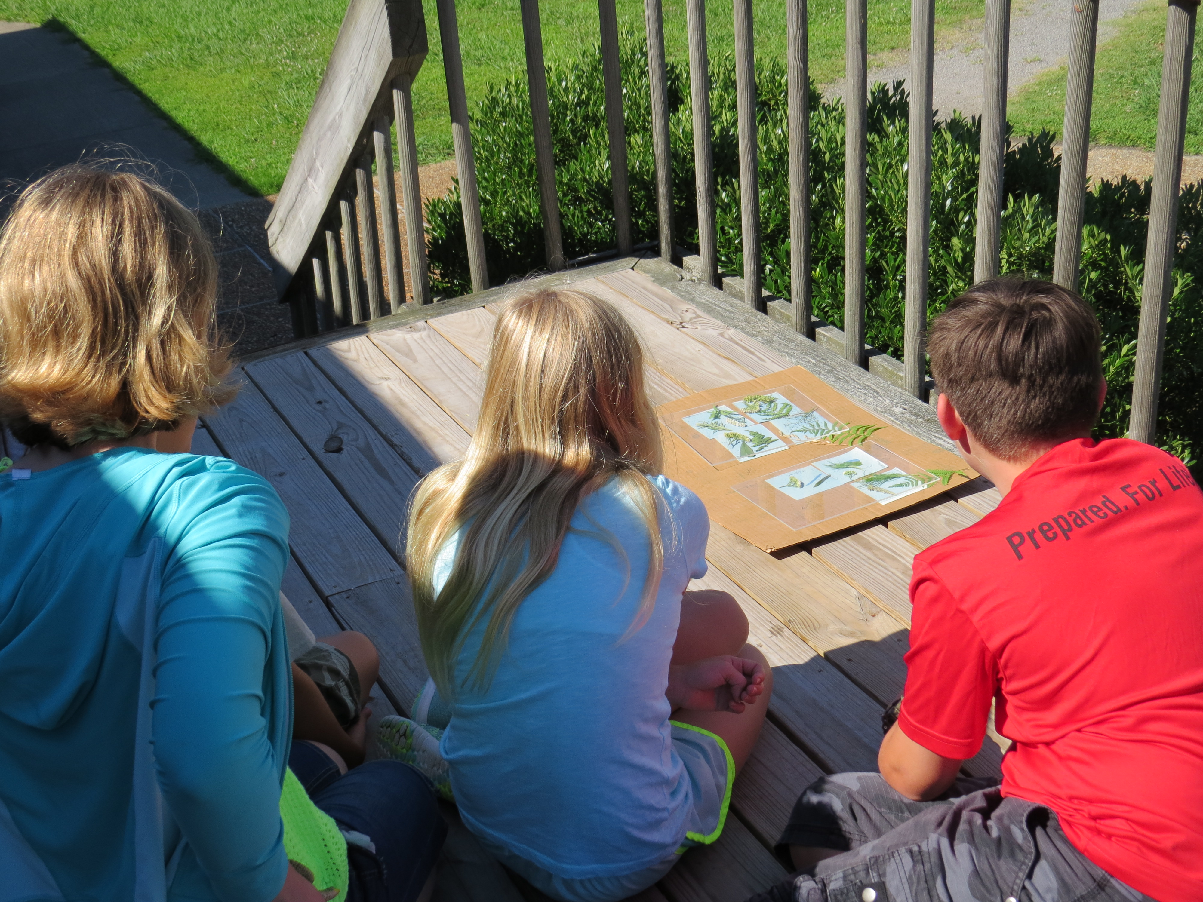 Children on deck watching a Sunprint activity transform during an interpretive program