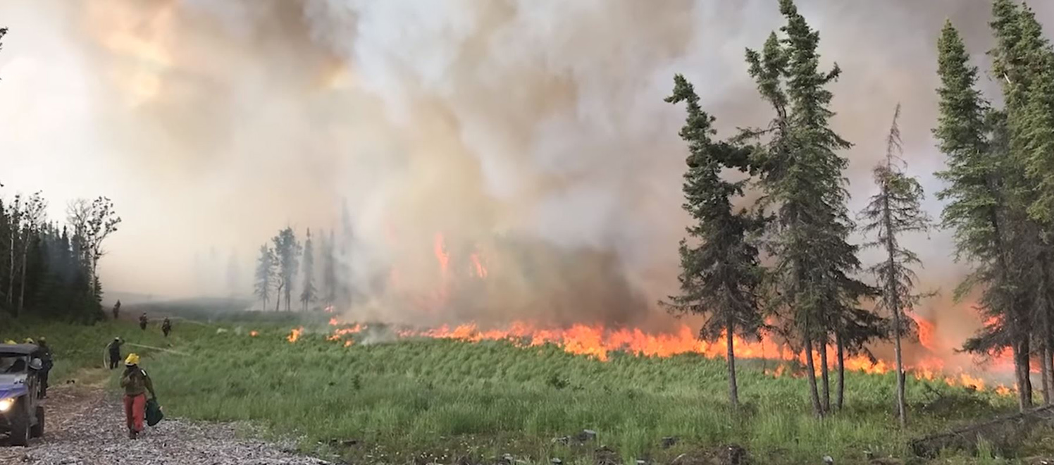 Flames crawl across green vegetation throwing off a smoke plume