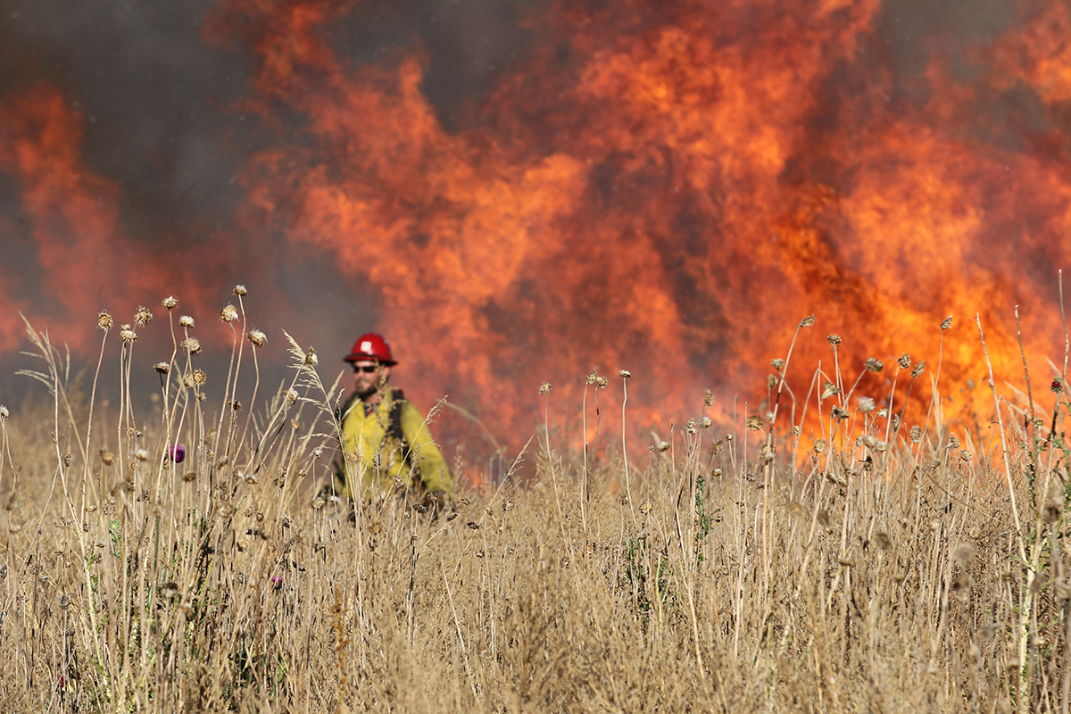 A firefighter in protective gear walking in front of huge flames in a dry grassland