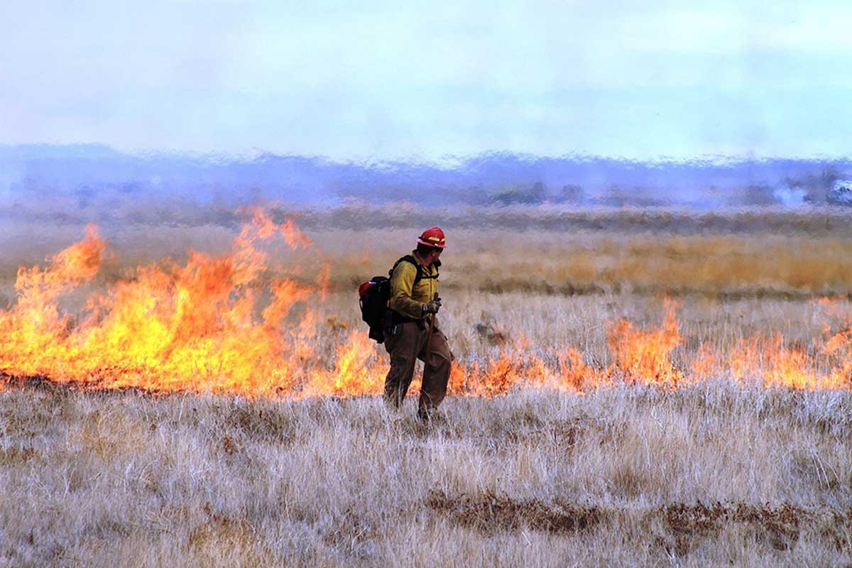 A firefighter walks the edge of a controlled burn in a dry grassland with mountains in the background