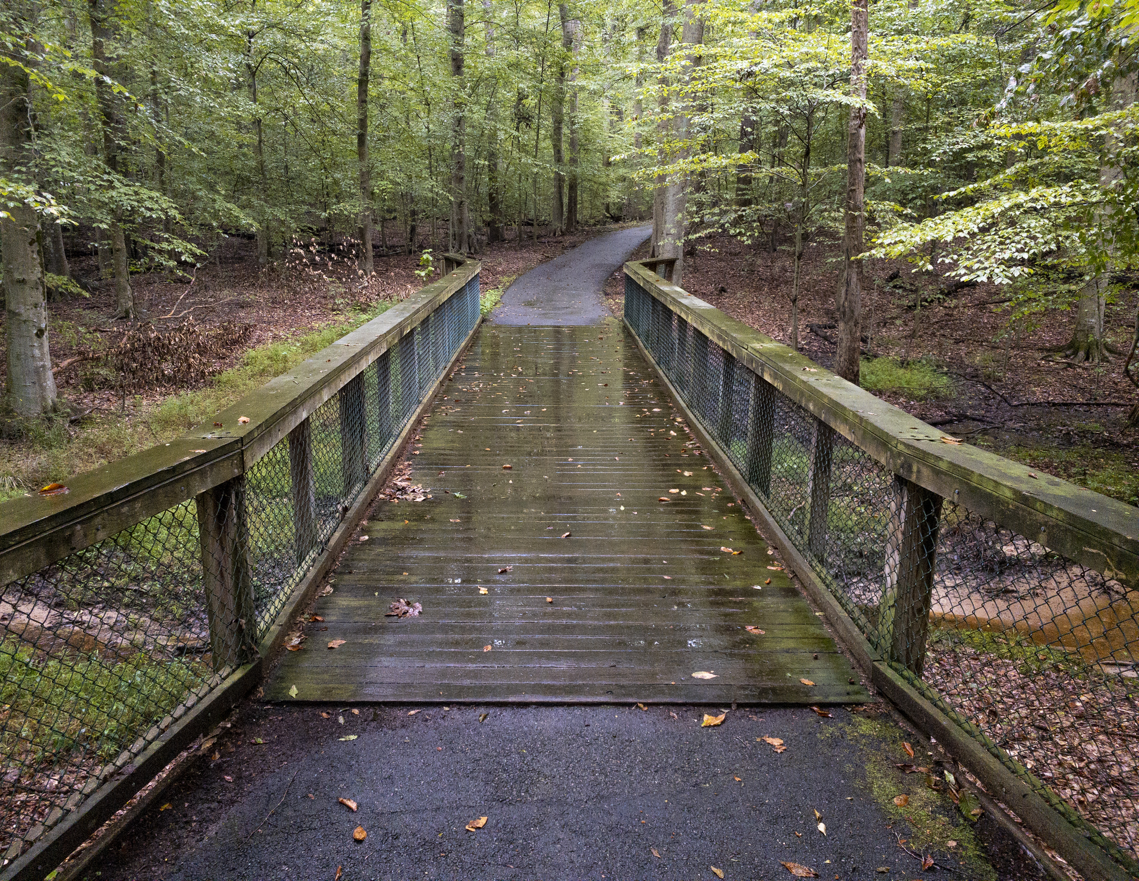 A view looking down Highpoint Trail at a creek crossing at Elizabeth Hartwell Mason Neck NWR