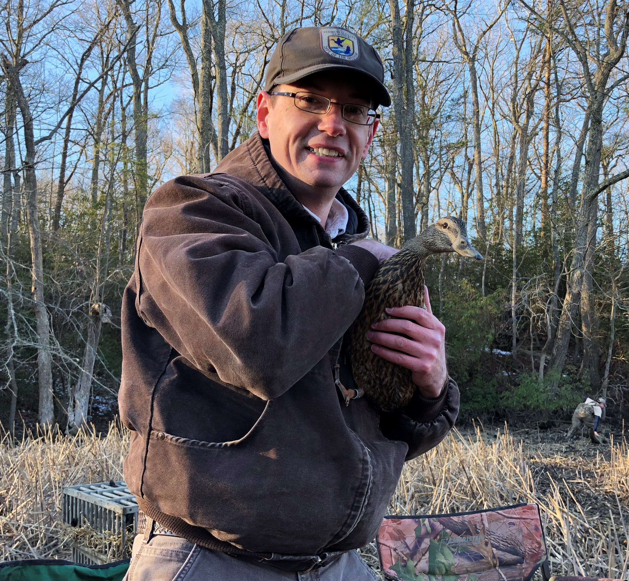 The Potomac River NWRC Biologist holds an American Black Duck.