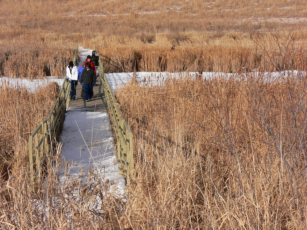 Several visitors walk across a wooden bridge on a frozen wetland in the winter prairie.