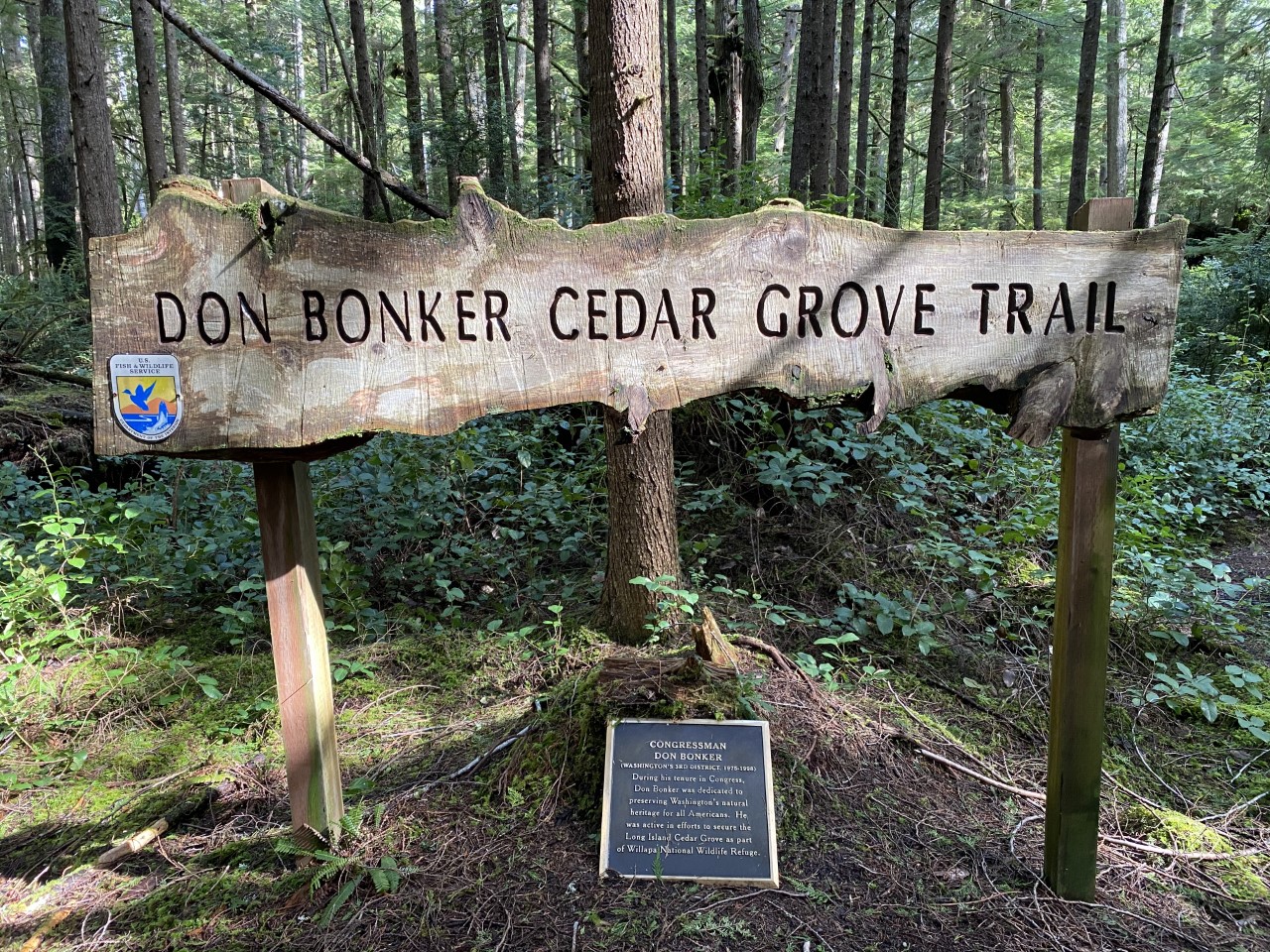 A sign saying "Don Bonker Cedar Grove Trail" with an official emblem in a green forest. A dedication plaque is sitting at it's foot.