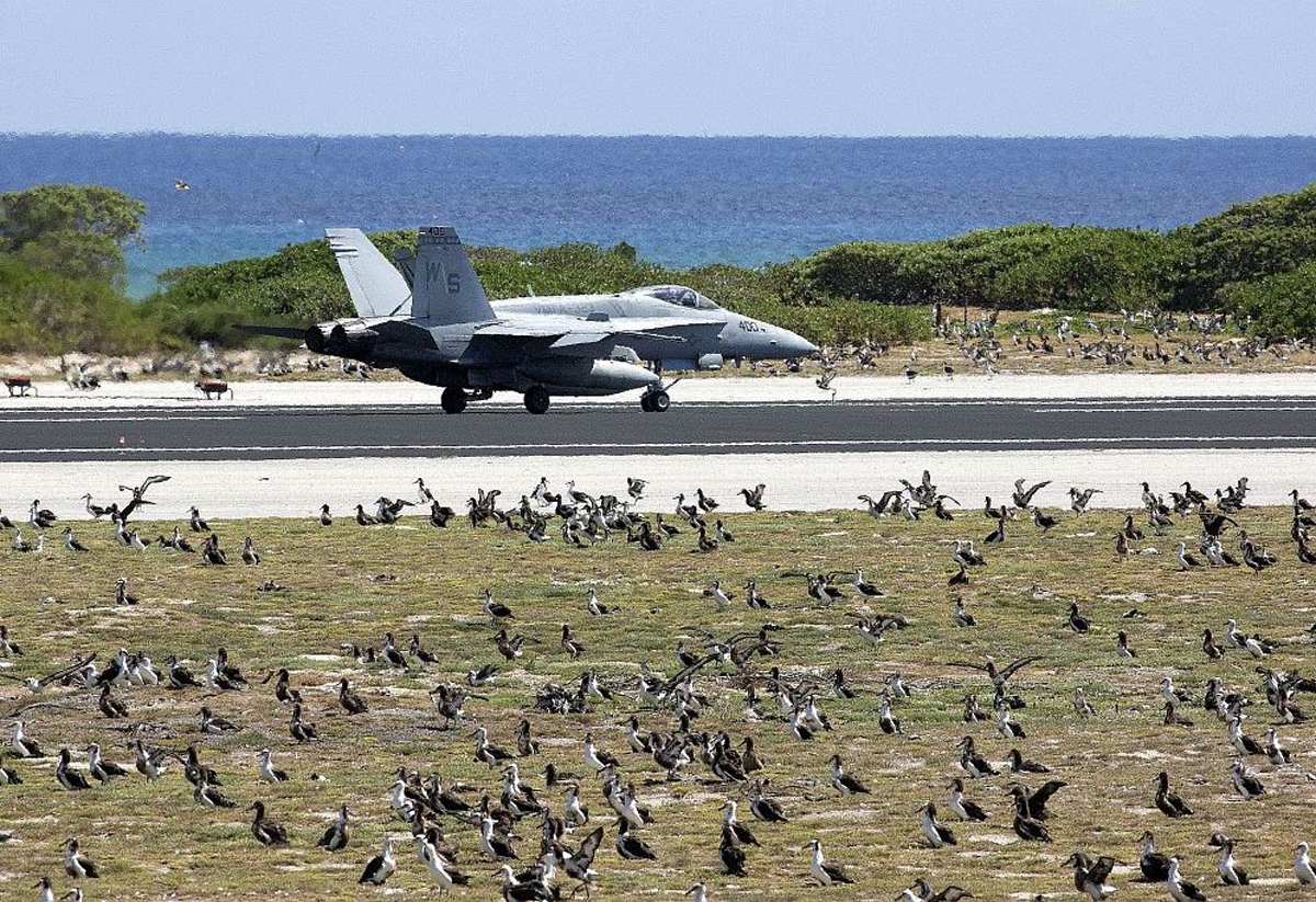 A military attack jet making a landing on a runway surrounded by nesting birds