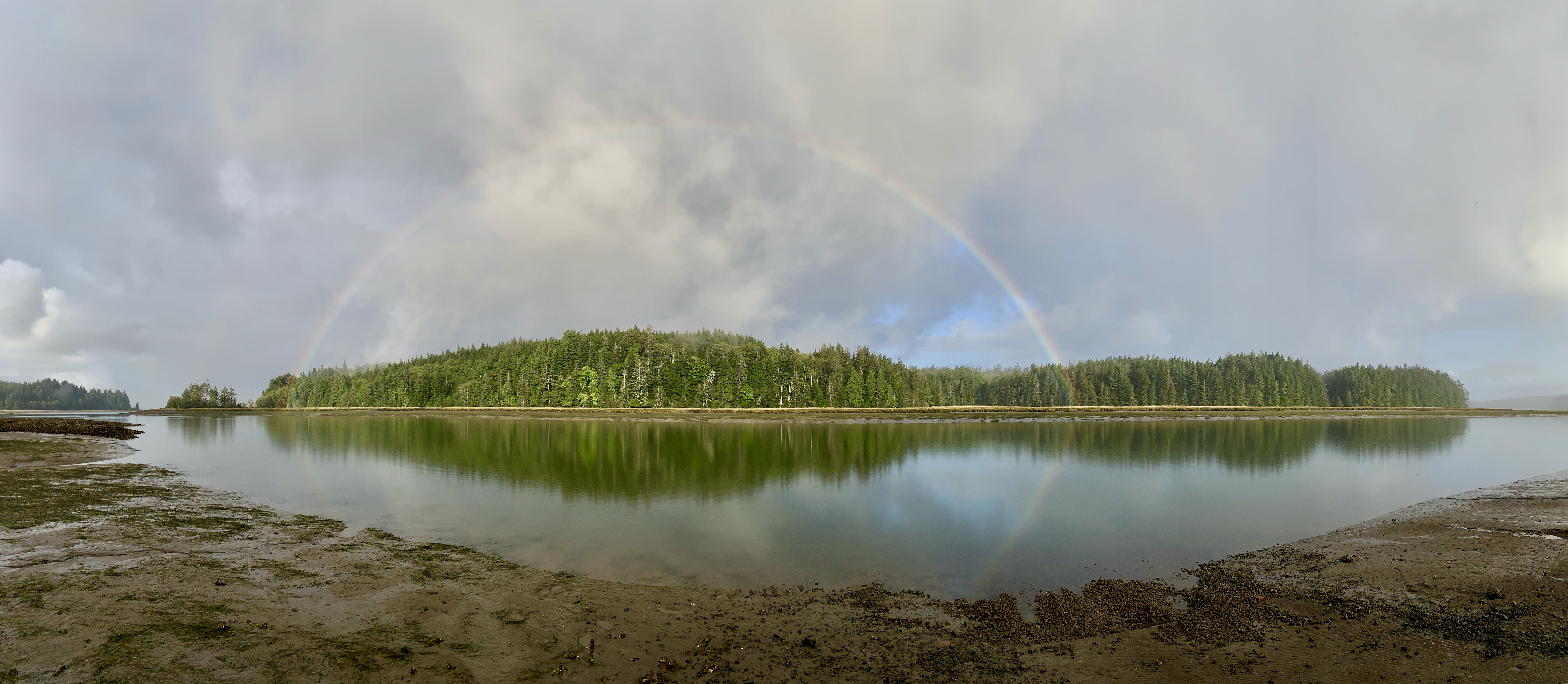 A rainbow stretches over a group o green trees on the bank of a bay