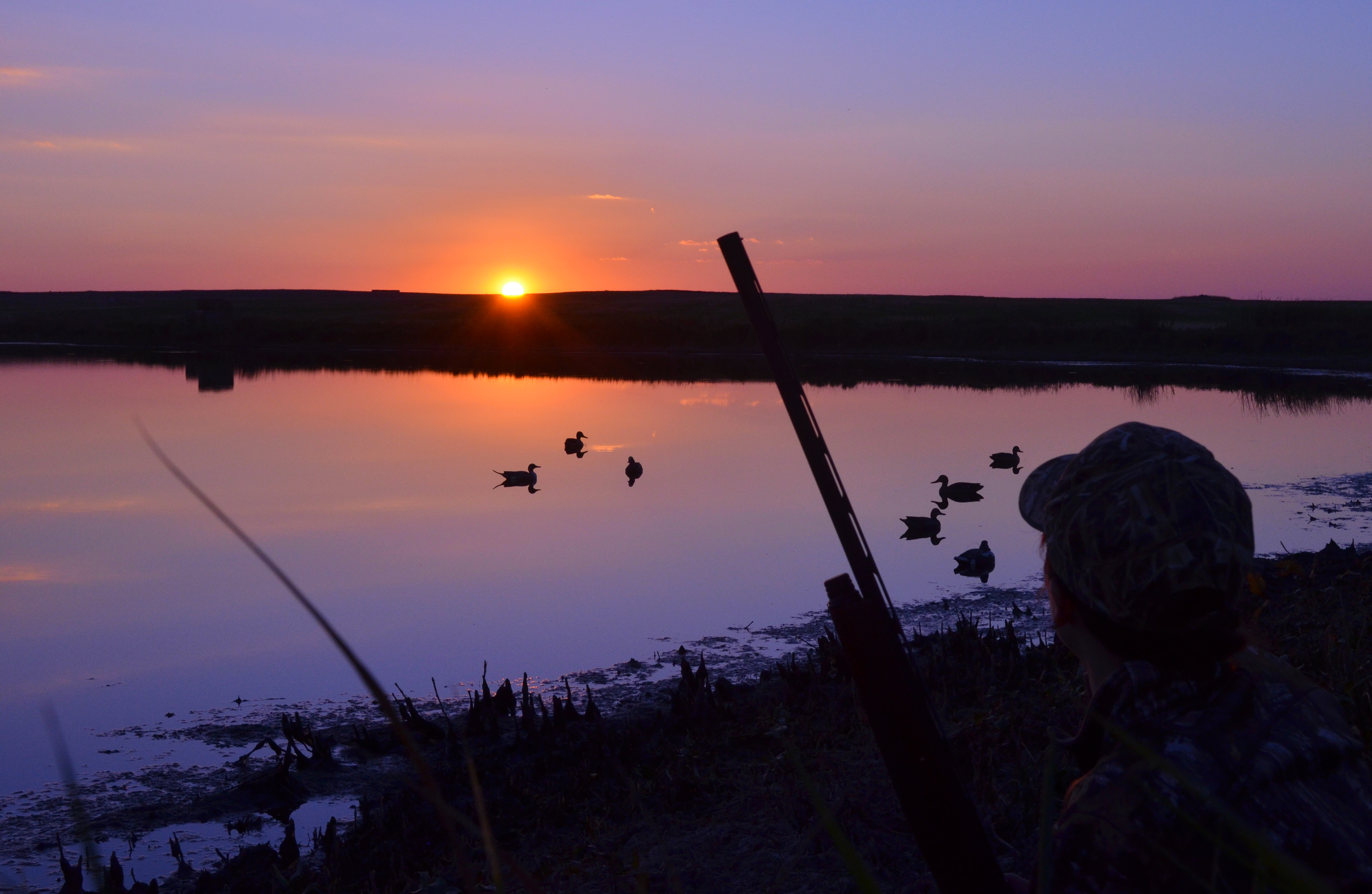 Waterfowl hunting at sunset