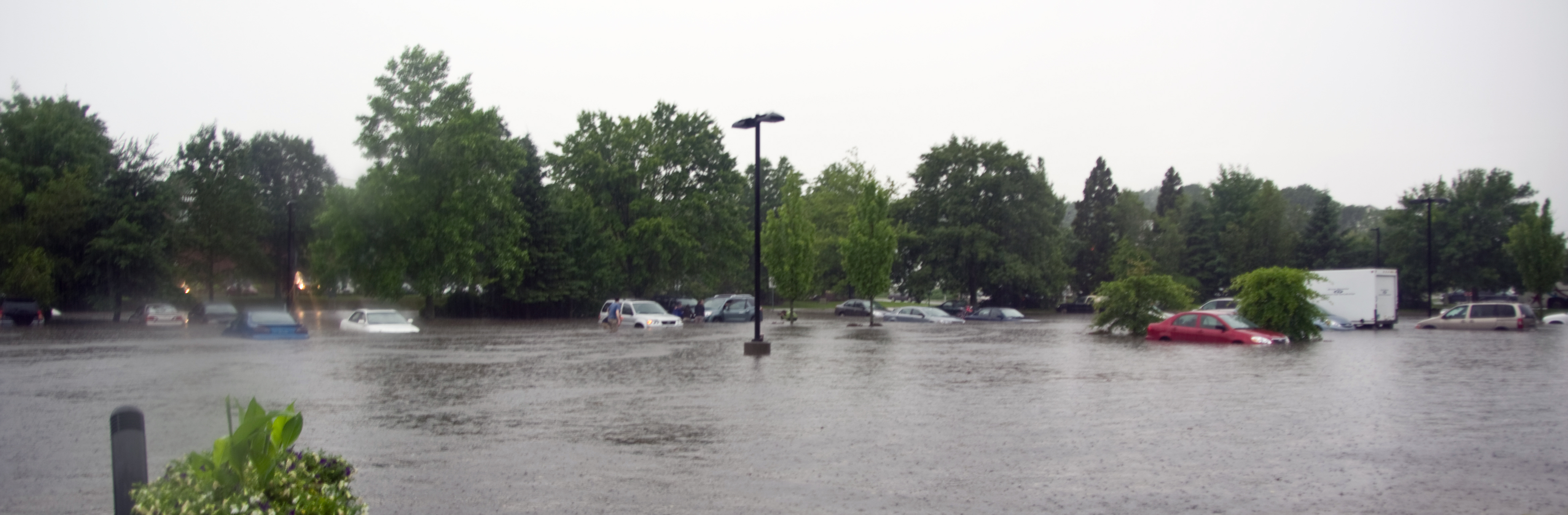 Flooded parking lot with cars submerged in water. 