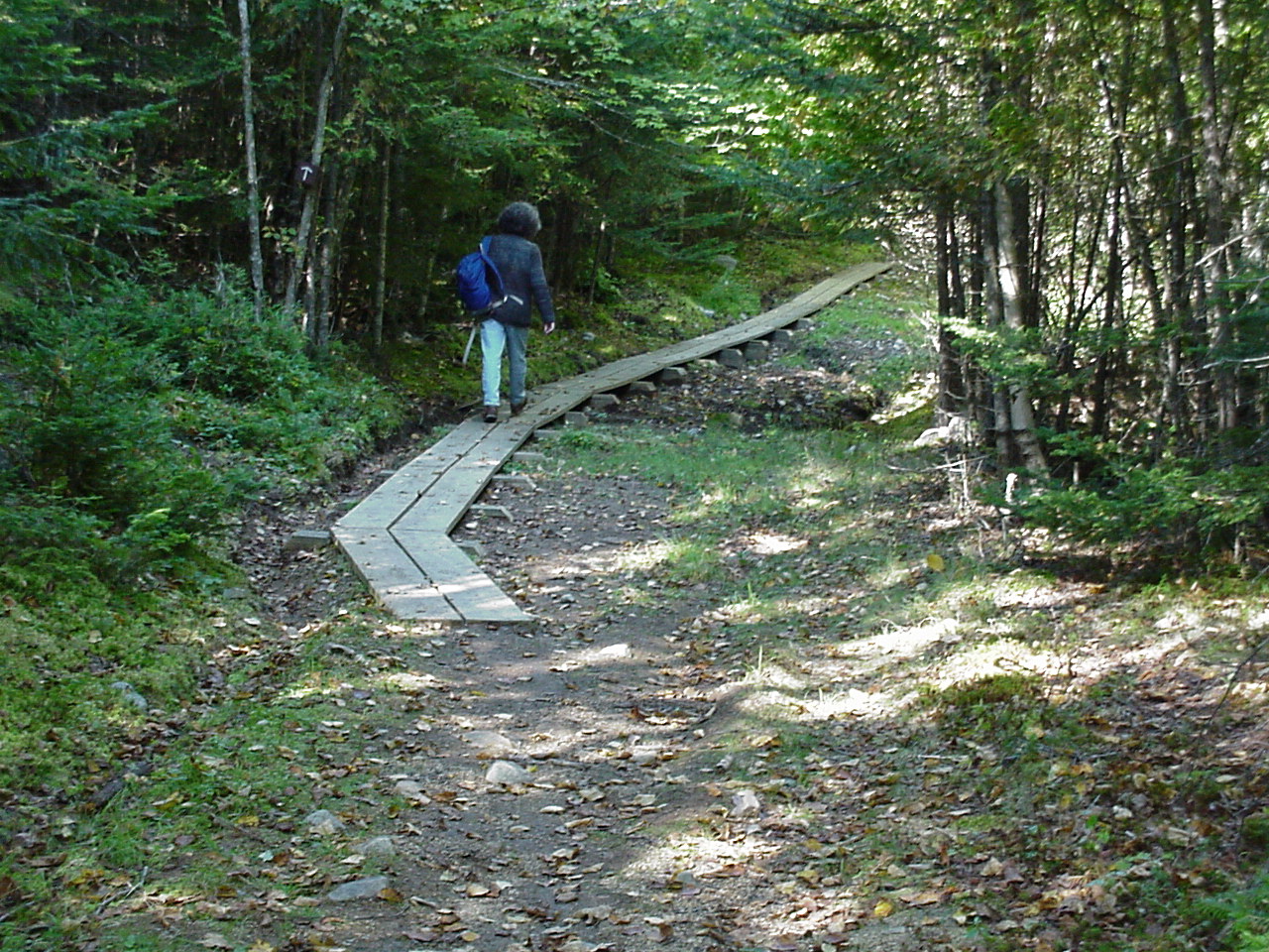Birch Point Trail - Petit Manan Point, Maine