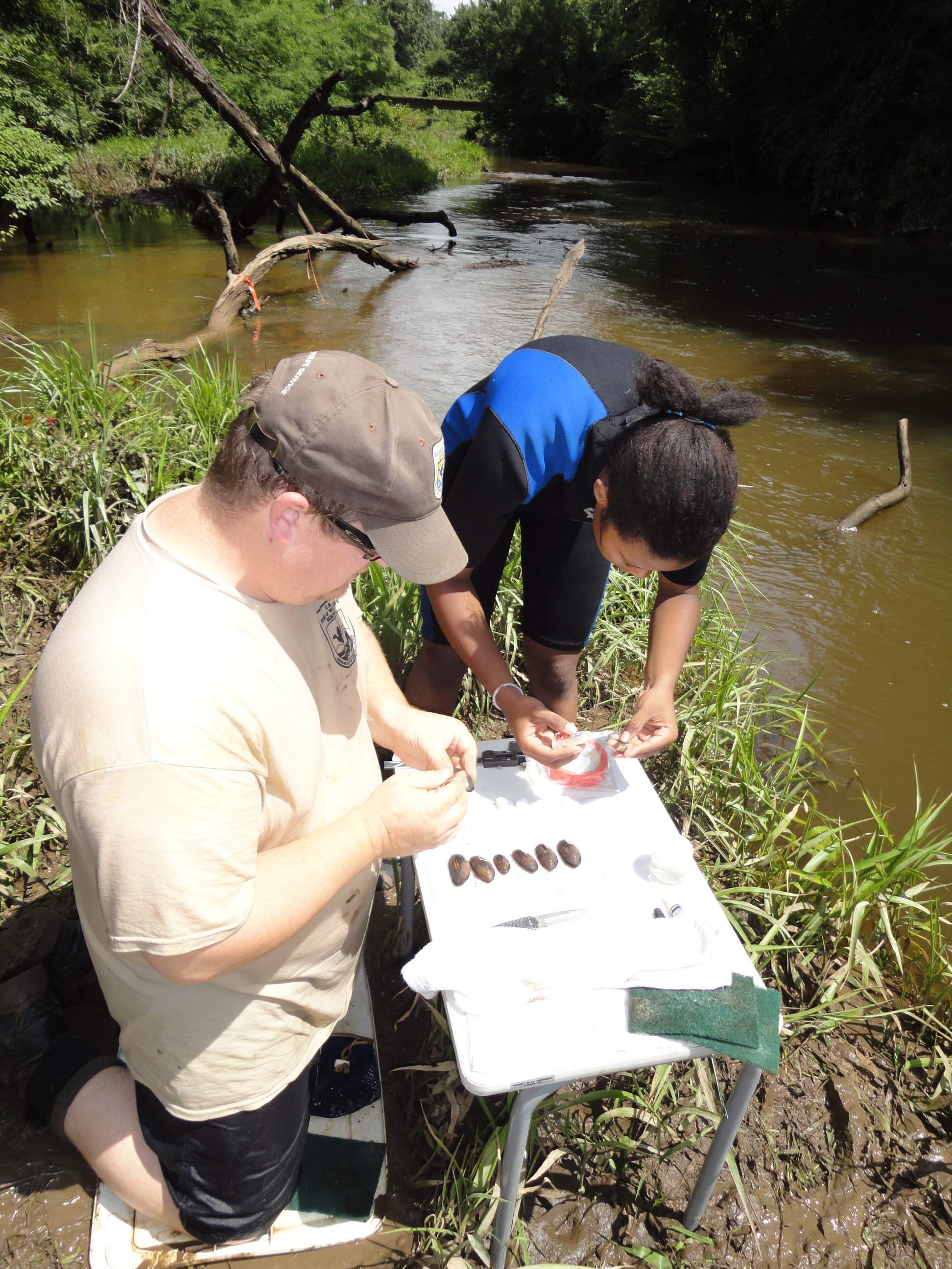 Andy and Dionna tagging freshwater mussels