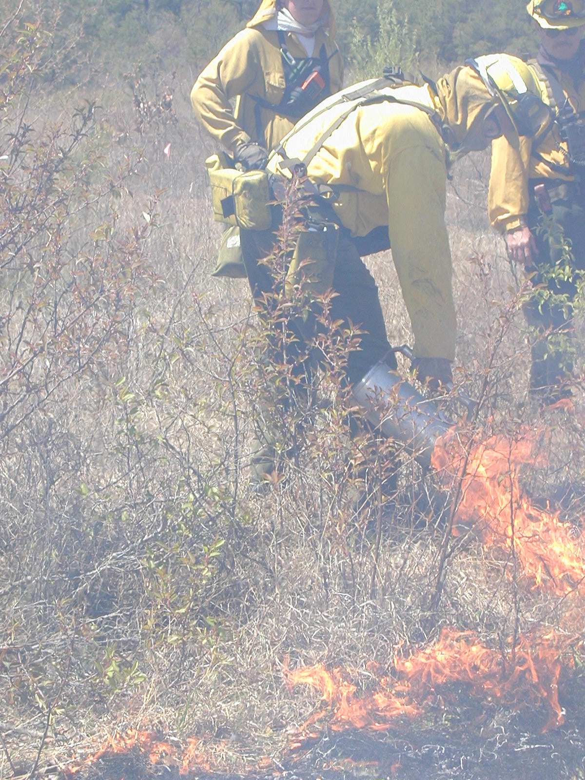 Refuge wildland firefighter sets a prescribed fire using a drip torch