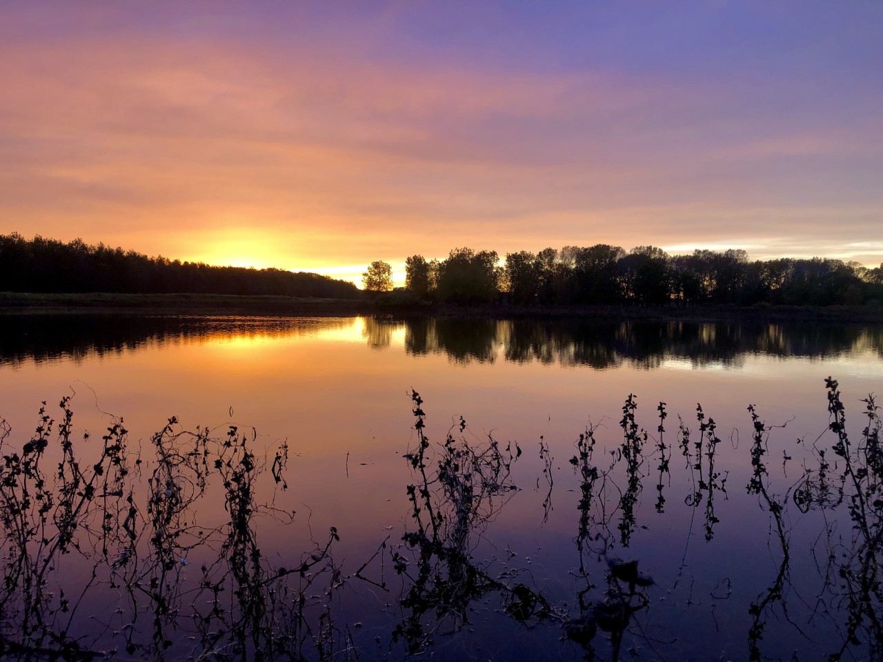 pale blue, purple and orange of a late fall sunset over a water filled wetland unit