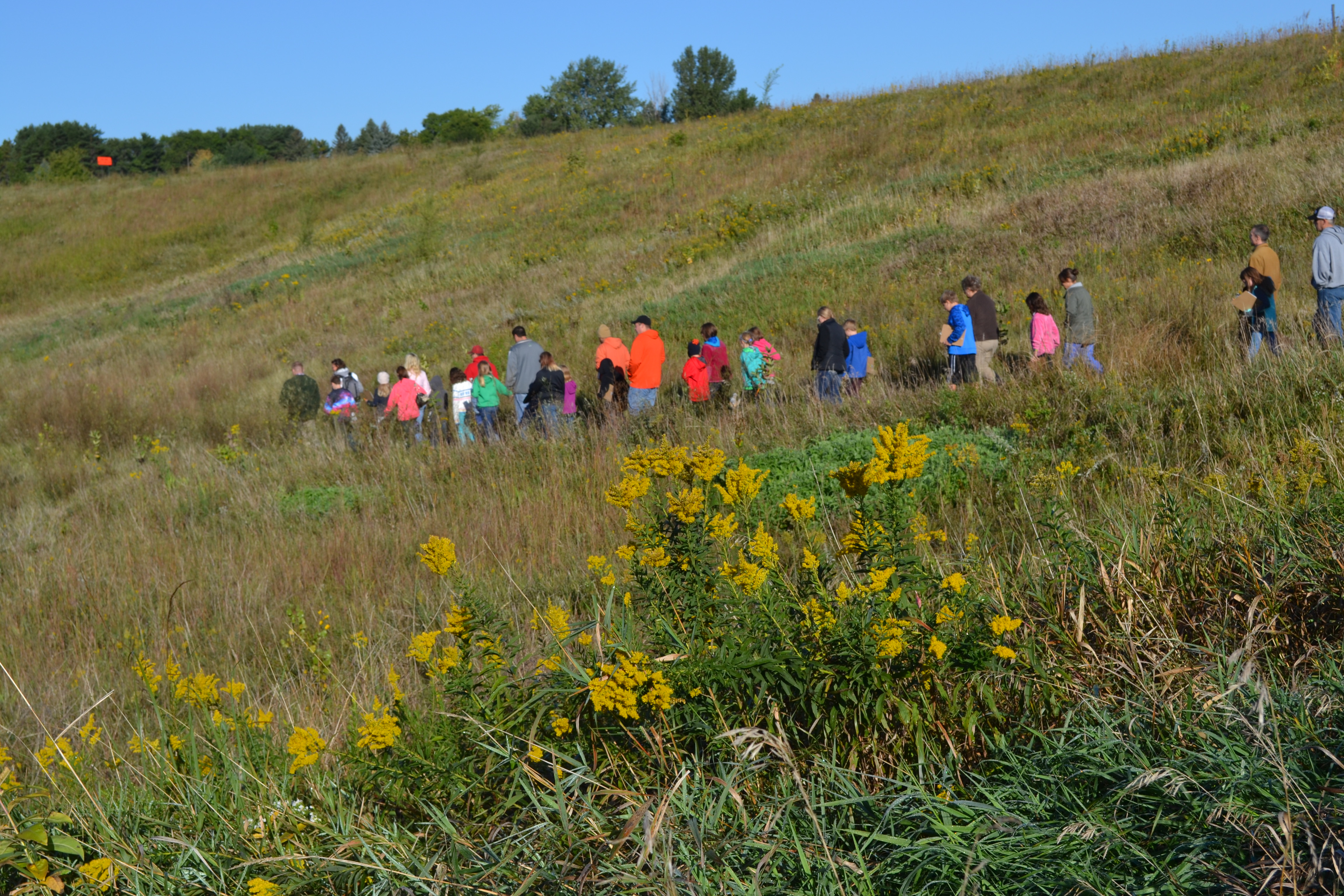 About 2 dozen children and adults walk through the prairie on the Wetland Way Trail in late summer