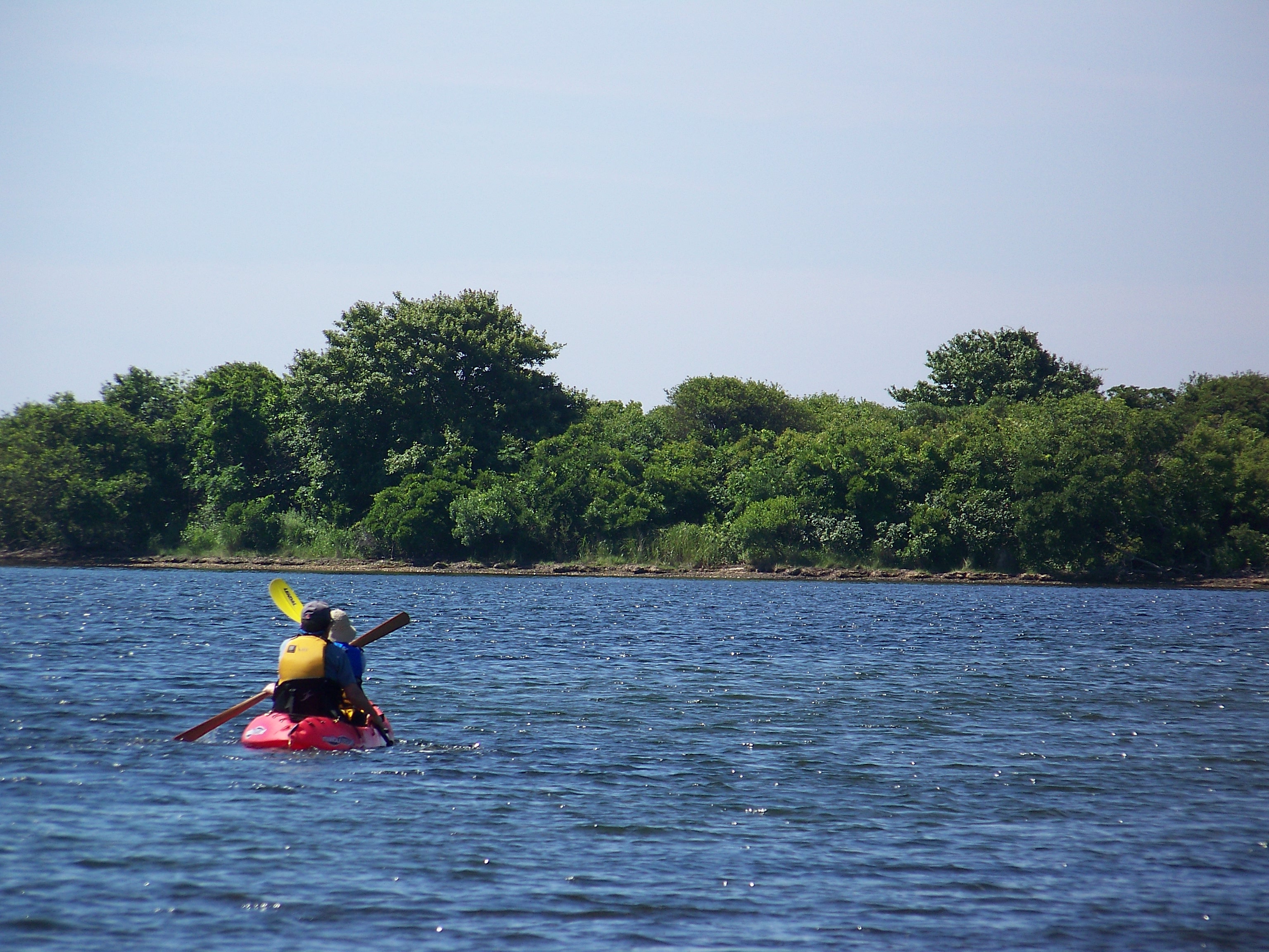 Kayakers in a large body of water lined with trees