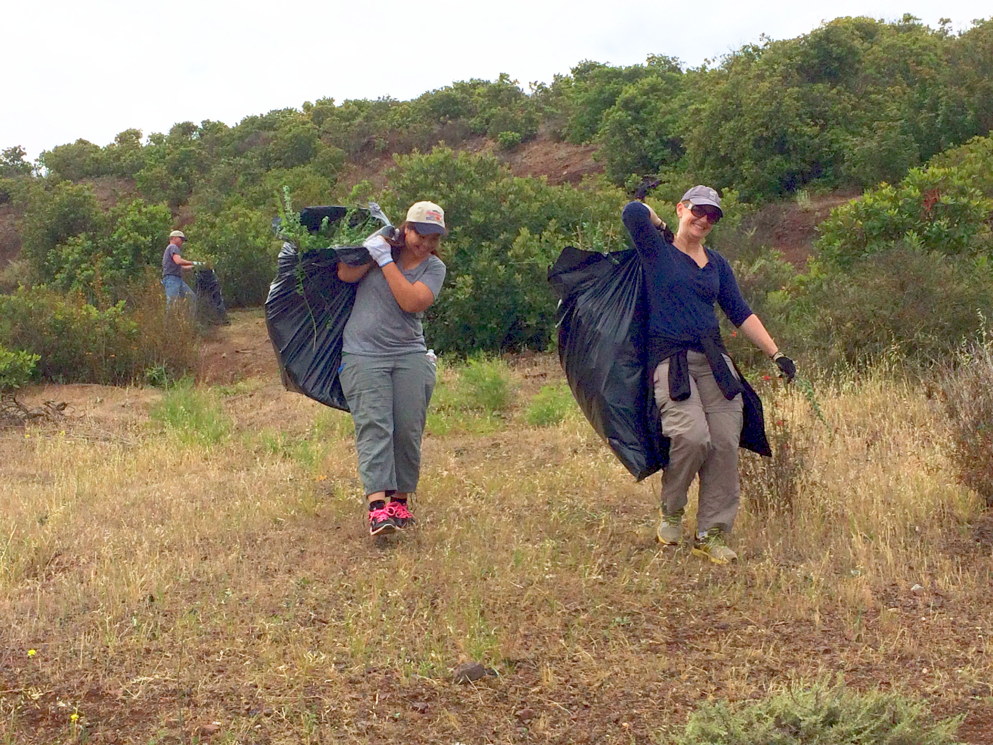 Two women co-workers at OMRON Scientific Technologies haul off invasive French broom from Don Edwards San Francisco Bay Refuge.