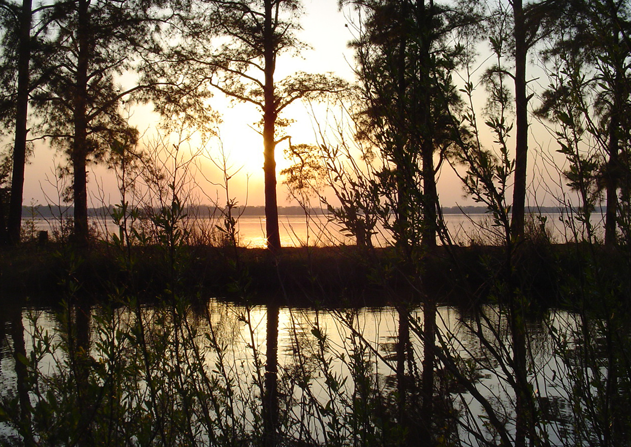 A sunset illuminates a body of water and surrounding trees