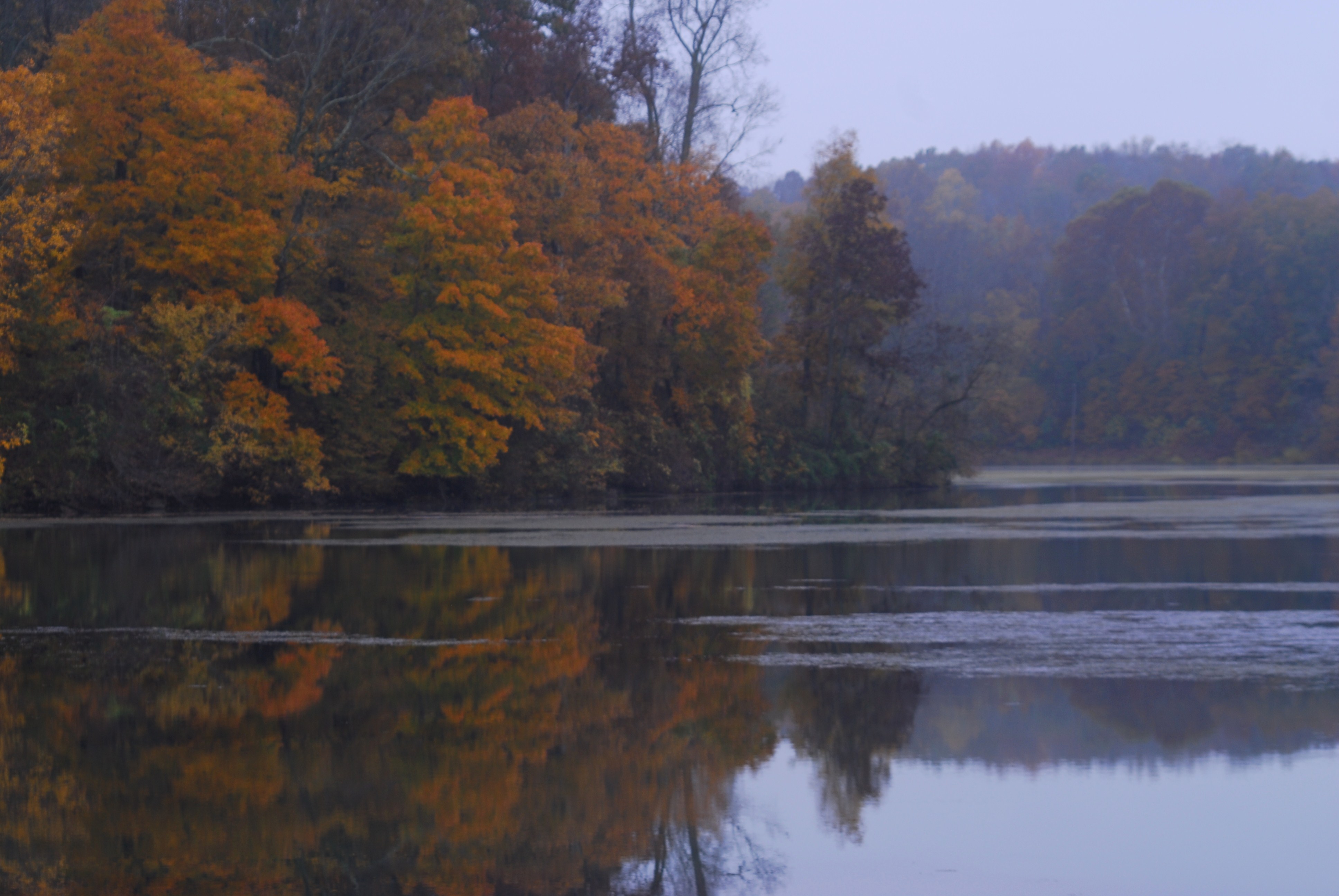 An image of a lake with trees in fall color.