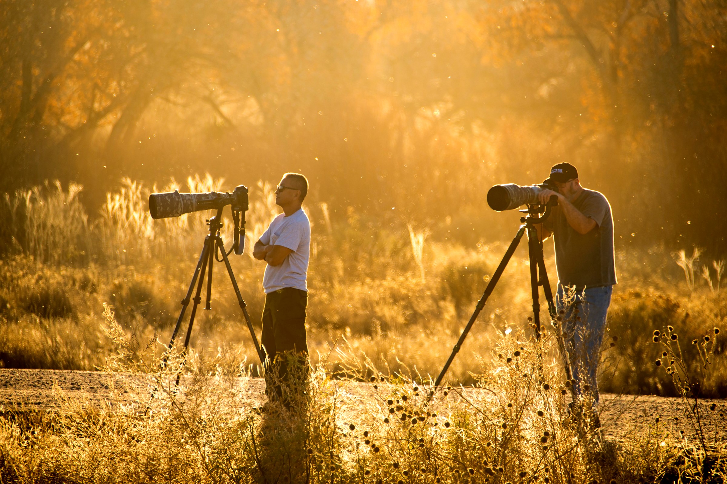 Photographers stand in golden light with tripods and telephoto lenses at Bosque del Apache National Wildlife Refuge in New Mexico.