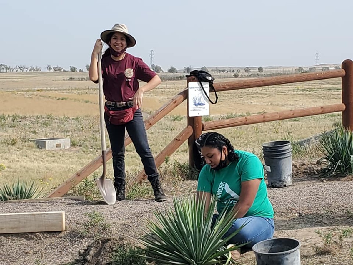 Rocky Mountain Arsenal NWR youth crews planting yucca plants